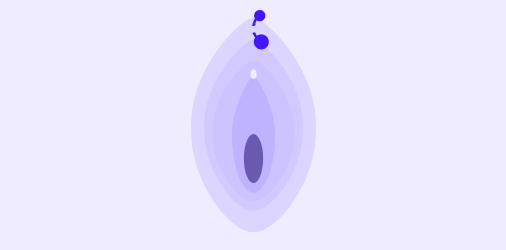 Female genital piercings